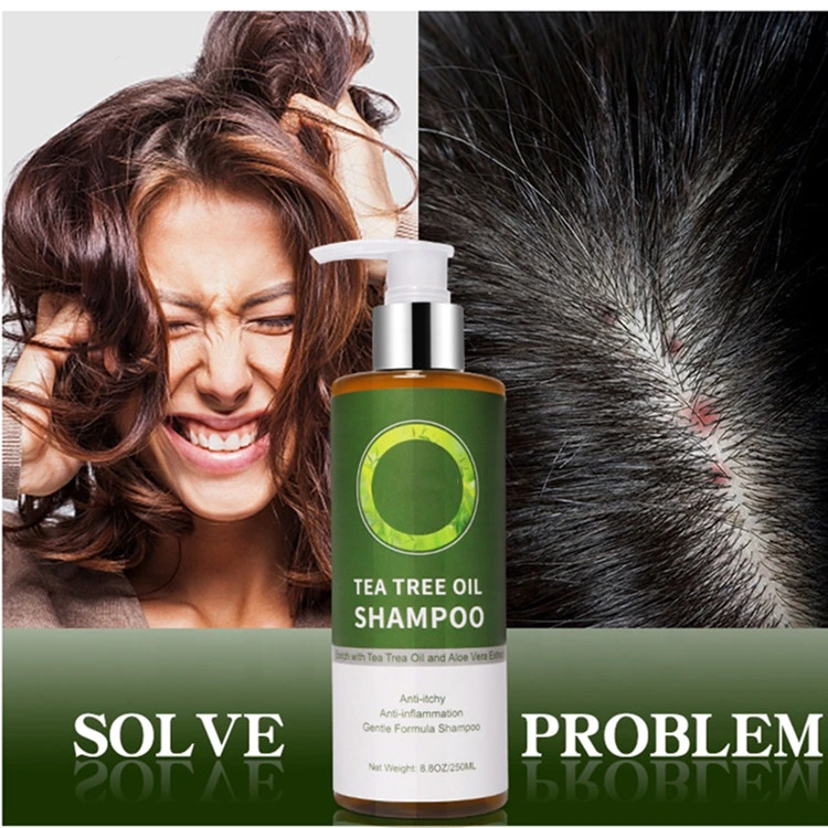 Custom Dandruff Anti-Itchy Anti-Inflammation Natural Organic Tea Tree Oil Hair Shampoo