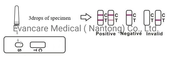 Medical Rapid Test Kits for Ctni/Nt-Probnp/Crp /D-Dimer/Ck-MB/Myo